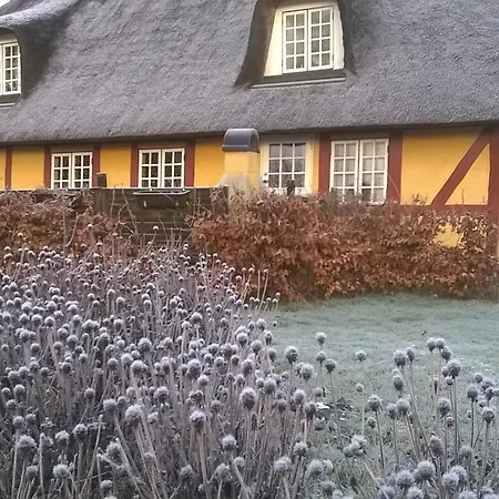 Langeland Holiday House Holiday home *